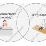 회계와 재무의 관계
