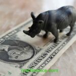 경제용어-회색코뿔소The-Grey-Rhino