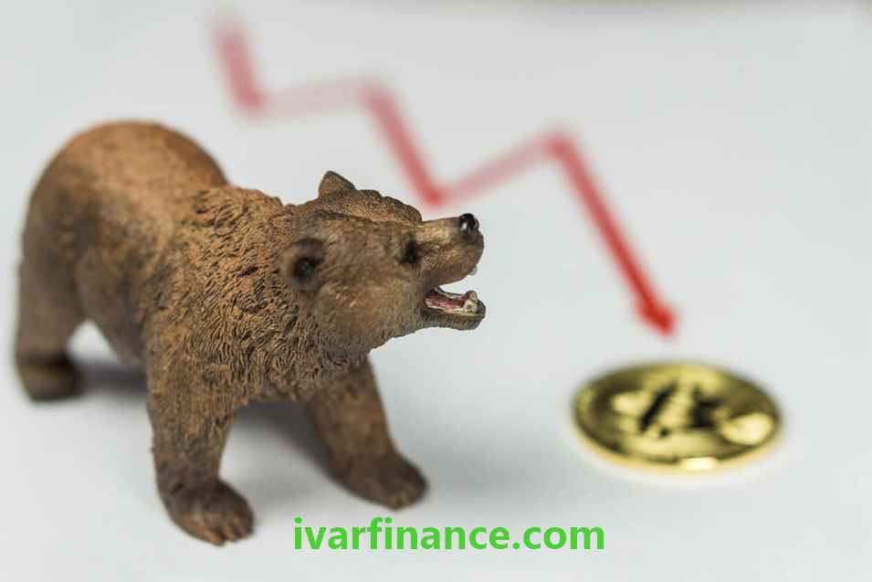 베어마켓Bear-Market