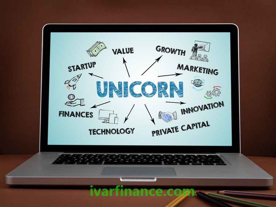 유니콘 스타트업Unicorn Startup