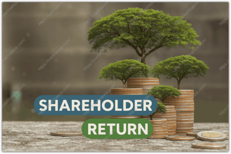 주주환원(SHAREHOLDER RETURN)