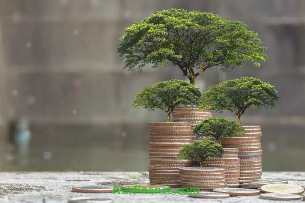 동전 위에 성장하는 나무