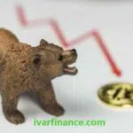 베어마켓Bear-Market