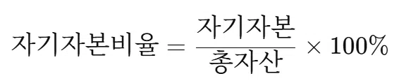 자기자본비율 계산 방법
