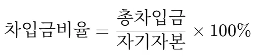 차입금비율
