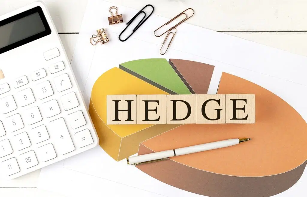 헤지(Hedeg) 전략